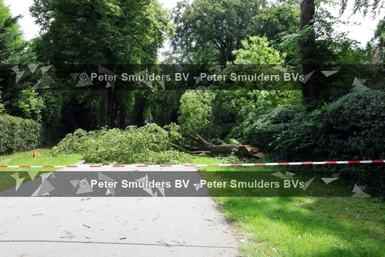 Craailo 21 juni 202
In de straat bij Linda de Mol is een boom omgewaaid