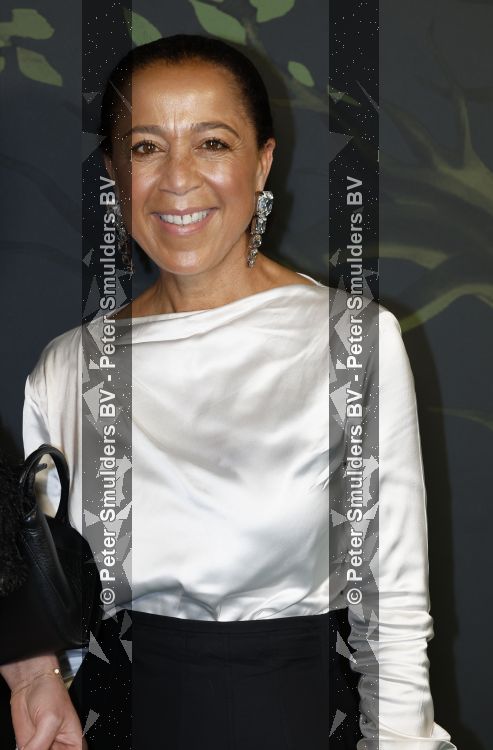 Amsterdam 13 juni 2026
Amsterdam diner 2026 tbv het aidsfonds in Afas Live . Diana Matroos