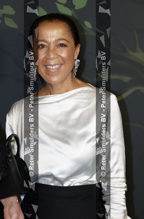Amsterdam 13 juni 2026
Amsterdam diner 2026 tbv het aidsfonds in Afas Live . Diana Matroos