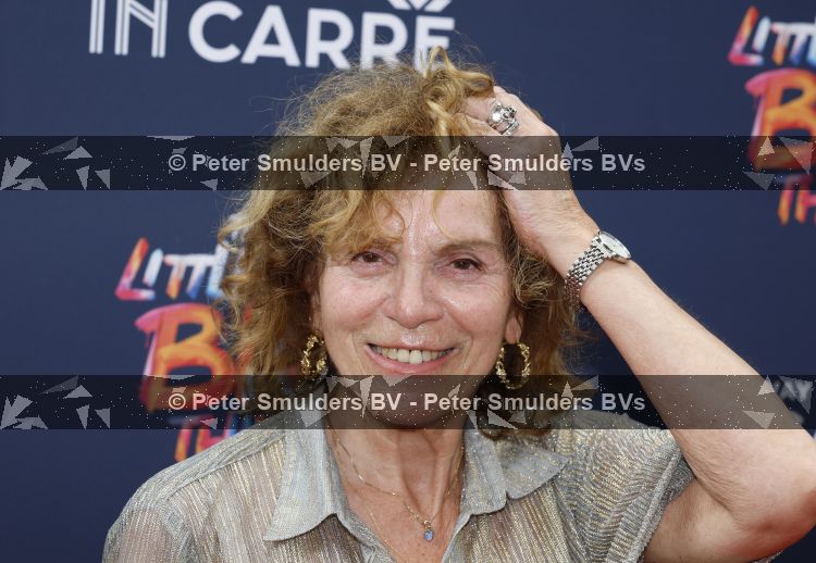 Amsterdam 28 juni 2026
Premiere the little big things in Carre . Henriette Tol 