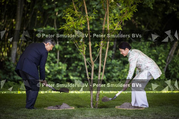 AMSTELVEEN  19 Juni 2026Keizer Nahurito, keizerin Masako van Japan tijdens een boomplant ceremonie in het Japanse Bloesempark tijdens de derde dag van het Japanse staatsbezoek aan Nederland.