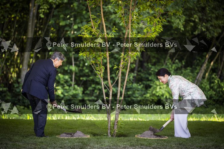 AMSTELVEEN  19 Juni 2026Keizer Nahurito, keizerin Masako van Japan tijdens een boomplant ceremonie in het Japanse Bloesempark tijdens de derde dag van het Japanse staatsbezoek aan Nederland.