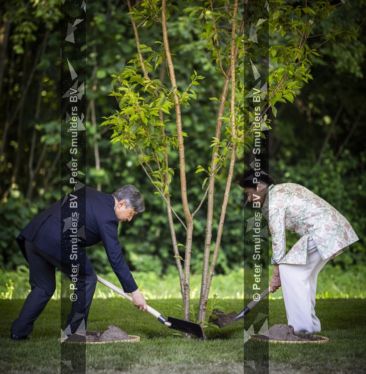 AMSTELVEEN  19 Juni 2026Keizer Nahurito, keizerin Masako van Japan tijdens een boomplant ceremonie in het Japanse Bloesempark tijdens de derde dag van het Japanse staatsbezoek aan Nederland.