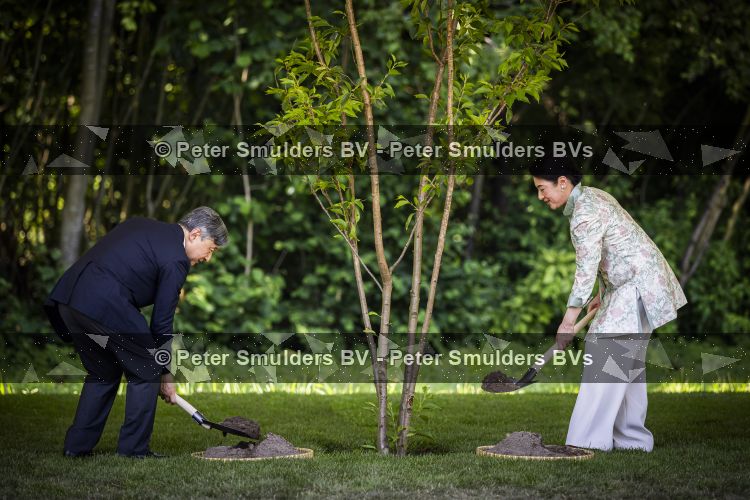 AMSTELVEEN  19 Juni 2026Keizer Nahurito, keizerin Masako van Japan tijdens een boomplant ceremonie in het Japanse Bloesempark tijdens de derde dag van het Japanse staatsbezoek aan Nederland.