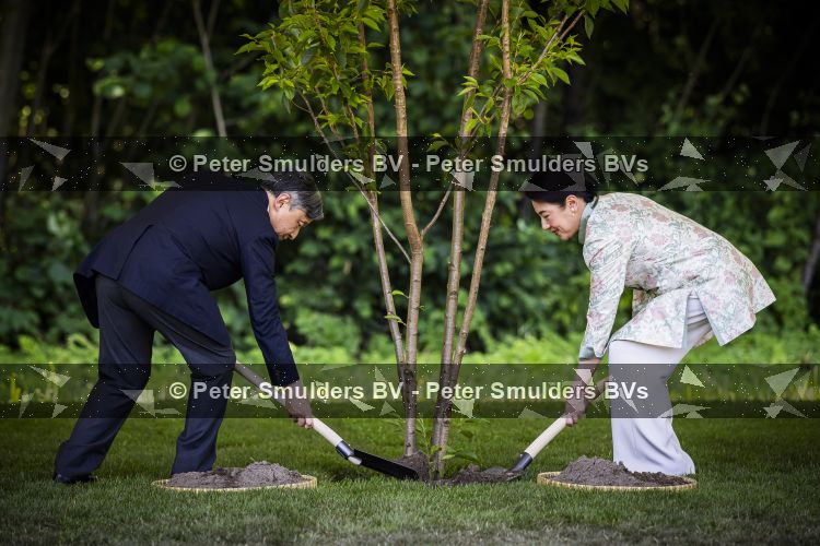 AMSTELVEEN  19 Juni 2026Keizer Nahurito, keizerin Masako van Japan tijdens een boomplant ceremonie in het Japanse Bloesempark tijdens de derde dag van het Japanse staatsbezoek aan Nederland.