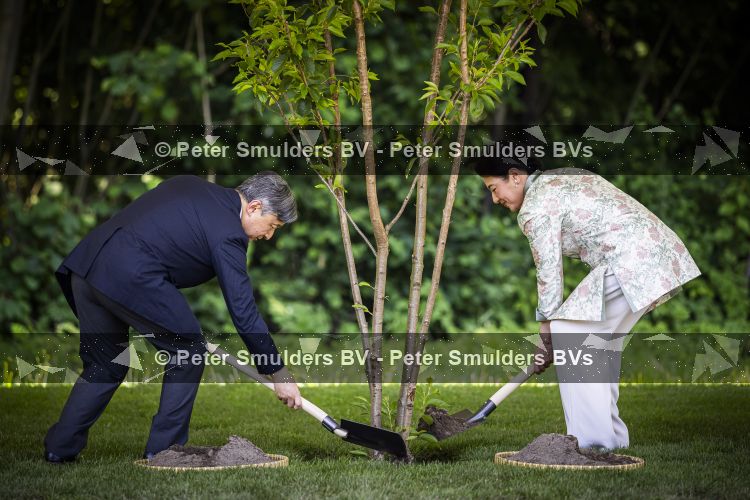 AMSTELVEEN  19 Juni 2026Keizer Nahurito, keizerin Masako van Japan tijdens een boomplant ceremonie in het Japanse Bloesempark tijdens de derde dag van het Japanse staatsbezoek aan Nederland.