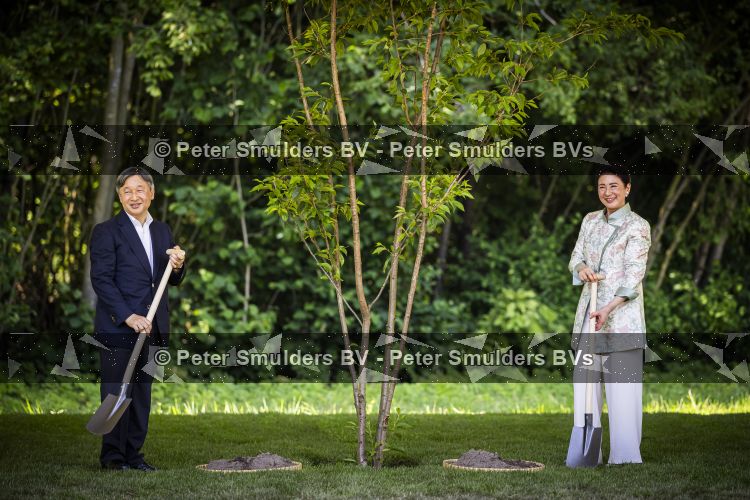 AMSTELVEEN  19 Juni 2026Keizer Nahurito, keizerin Masako van Japan tijdens een boomplant ceremonie in het Japanse Bloesempark tijdens de derde dag van het Japanse staatsbezoek aan Nederland.