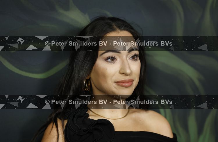 Amsterdam 13 juni 2026
Amsterdam diner 2026 tbv het aidsfonds in Afas Live . Lale Gul