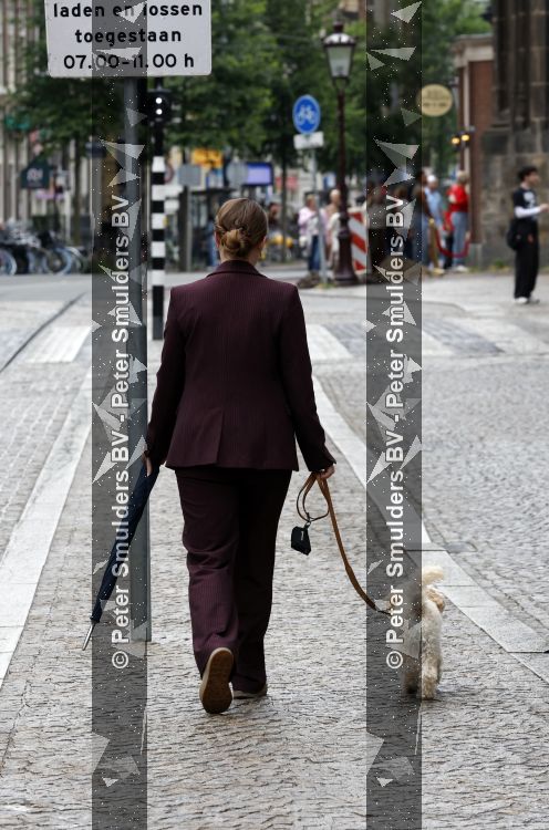 Amsterdam 17 juni 2026
Vandaag is het staatsbezoek van Japan en Nederland . S avonds komen er allemaal andere gasten . Hondje Mambo wordt uitgelaten 