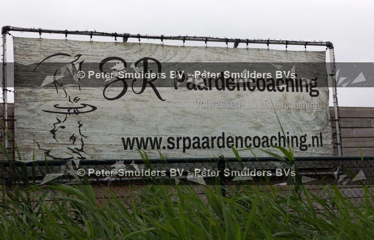 Amsterdam 6 juni 2026
Paardencoaching Amsterdam noord 