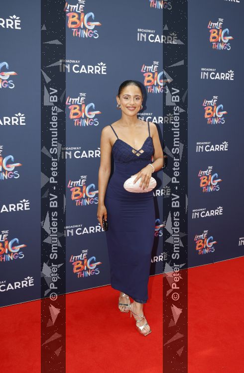 Amsterdam 28 juni 2026
Premiere the little big things in Carre 