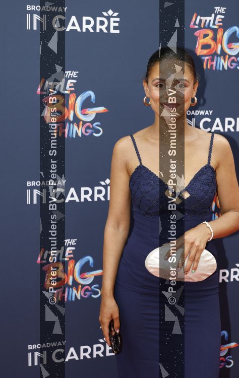 Amsterdam 28 juni 2026
Premiere the little big things in Carre 