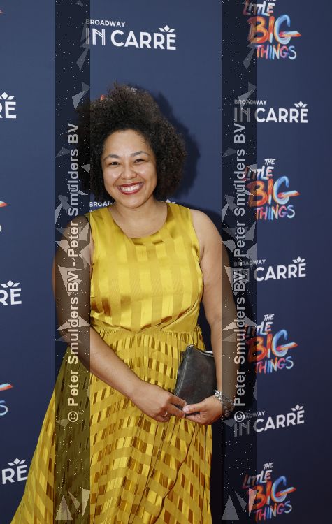 Amsterdam 28 juni 2026
Premiere the little big things in Carre 