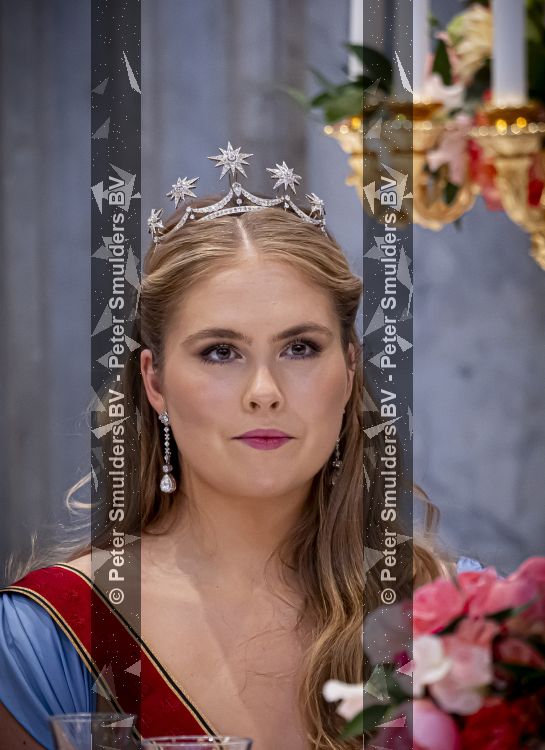 Amsterdam 9 juni 2026
Op uitnodiging van Zijne Majesteit de Koning - Koning Willem Alexander en Koningin Maxima brengt de bondspresident van Duitsland, Frank-Walter Steinmeier, een staatsbezoek aan Nederland. Hij wordt hierbij vergezeld door zijn echtgenote Elke BÃ¼denbender. Prinses Amalia was er s avonds bij het staatsbanket ook bij . Ze droeg het diadeem wat haar moeder tijdens trouwerij droeg.