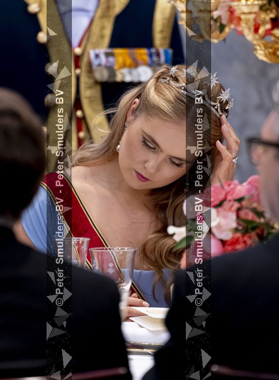 Amsterdam 9 juni 2026
Op uitnodiging van Zijne Majesteit de Koning - Koning Willem Alexander en Koningin Maxima brengt de bondspresident van Duitsland, Frank-Walter Steinmeier, een staatsbezoek aan Nederland. Hij wordt hierbij vergezeld door zijn echtgenote Elke BÃ¼denbender. Prinses Amalia was er s avonds bij het staatsbanket ook bij . Ze droeg het diadeem wat haar moeder tijdens trouwerij droeg.