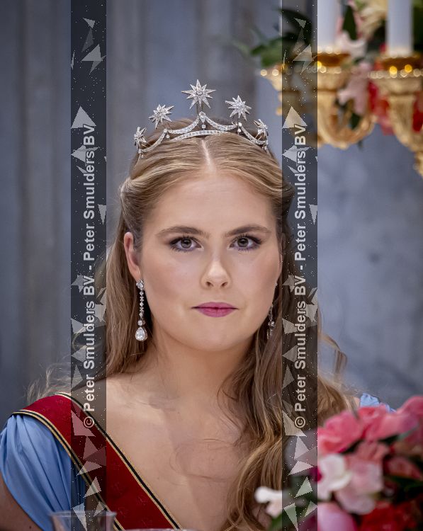 Amsterdam 9 juni 2026
Op uitnodiging van Zijne Majesteit de Koning - Koning Willem Alexander en Koningin Maxima brengt de bondspresident van Duitsland, Frank-Walter Steinmeier, een staatsbezoek aan Nederland. Hij wordt hierbij vergezeld door zijn echtgenote Elke BÃ¼denbender. Prinses Amalia was er s avonds bij het staatsbanket ook bij . Ze droeg het diadeem wat haar moeder tijdens trouwerij droeg.