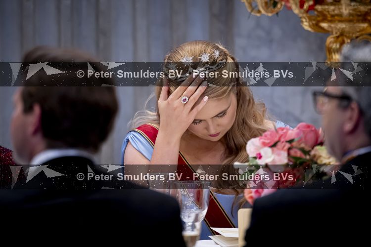 Amsterdam 9 juni 2026
Op uitnodiging van Zijne Majesteit de Koning - Koning Willem Alexander en Koningin Maxima brengt de bondspresident van Duitsland, Frank-Walter Steinmeier, een staatsbezoek aan Nederland. Hij wordt hierbij vergezeld door zijn echtgenote Elke BÃ¼denbender. Prinses Amalia was er s avonds bij het staatsbanket ook bij . Ze droeg het diadeem wat haar moeder tijdens trouwerij droeg.