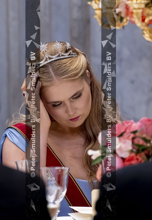 Amsterdam 9 juni 2026
Op uitnodiging van Zijne Majesteit de Koning - Koning Willem Alexander en Koningin Maxima brengt de bondspresident van Duitsland, Frank-Walter Steinmeier, een staatsbezoek aan Nederland. Hij wordt hierbij vergezeld door zijn echtgenote Elke BÃ¼denbender. Prinses Amalia was er s avonds bij het staatsbanket ook bij . Ze droeg het diadeem wat haar moeder tijdens trouwerij droeg.
