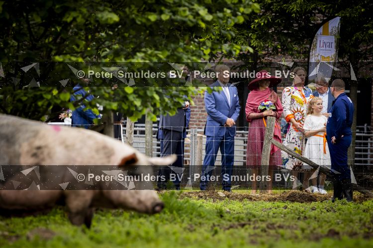 ROERMOND 19 mei 2026 Koning Willem Alexander en Koningin Maxima brengen een streekbezoek aan de gemeenten Maasgouw, Echt-Susteren, Roerdalen en Roermond. Tijdens het streekbezoek bezoekt het paar de schutterij in Wessem, Abdij Lilbosch in Echt, het smalste stukje Nederland in Illikhoven en Roermond, 19 Mei 2026. 