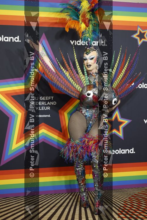 Amsterdam 1 augustus 2026
Lunch bij Videoland voorafgaand aan de Gay Pride