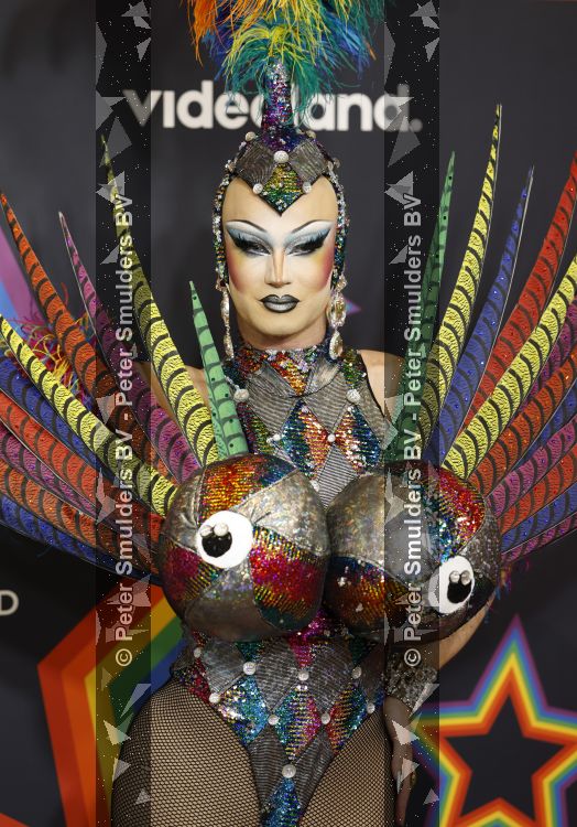 Amsterdam 1 augustus 2026
Lunch bij Videoland voorafgaand aan de Gay Pride