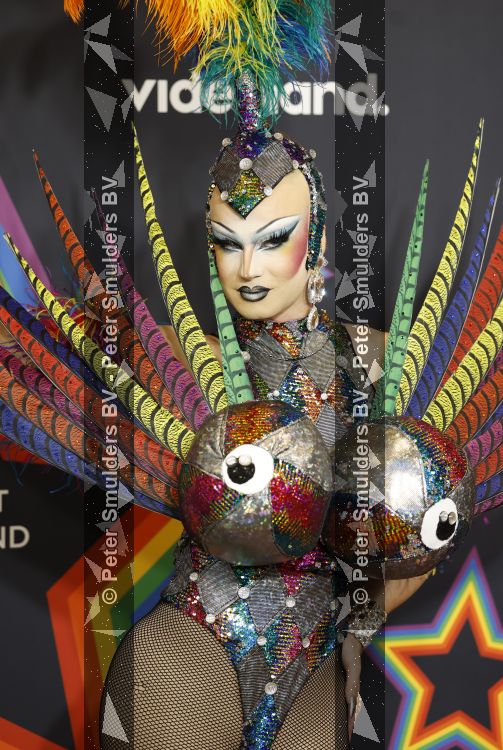 Amsterdam 1 augustus 2026
Lunch bij Videoland voorafgaand aan de Gay Pride