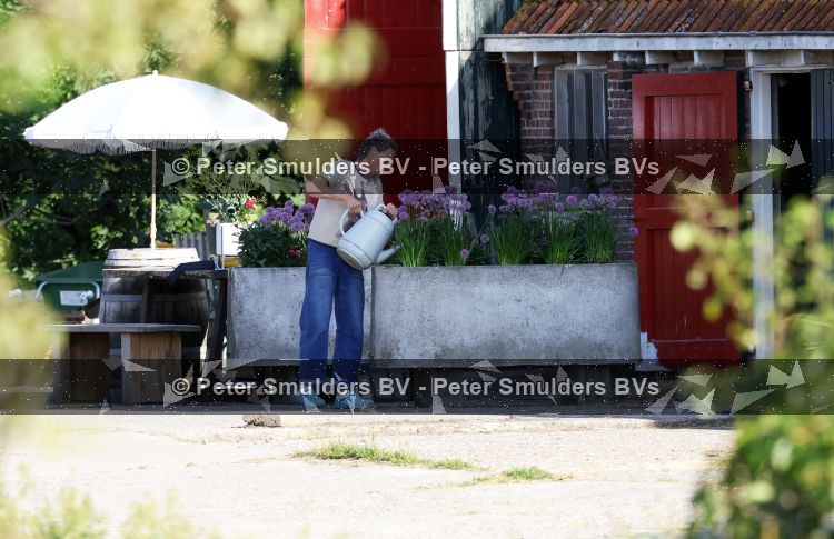 Flanssum 1 augustus 2026
De meilandjes hebben opnames op een boerderij voor een nieuwe serie op Videoland . Maxime Meiland Montana Meiland Erica Meiland en Martien Meiland werken op de boerderij .