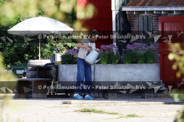Flanssum 1 augustus 2026
De meilandjes hebben opnames op een boerderij voor een nieuwe serie op Videoland . Maxime Meiland Montana Meiland Erica Meiland en Martien Meiland werken op de boerderij .