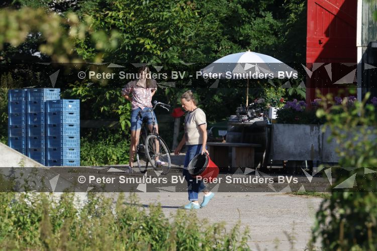 Flanssum 1 augustus 2026
De meilandjes hebben opnames op een boerderij voor een nieuwe serie op Videoland . Maxime Meiland Montana Meiland Erica Meiland en Martien Meiland werken op de boerderij .