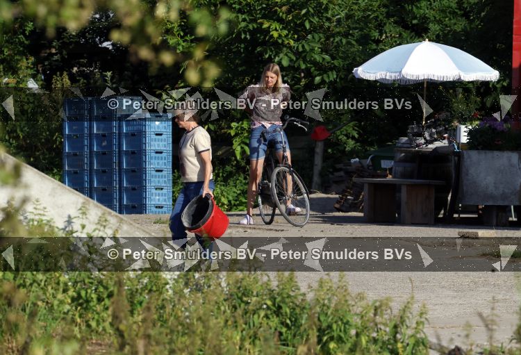 Flanssum 1 augustus 2026
De meilandjes hebben opnames op een boerderij voor een nieuwe serie op Videoland . Maxime Meiland Montana Meiland Erica Meiland en Martien Meiland werken op de boerderij .