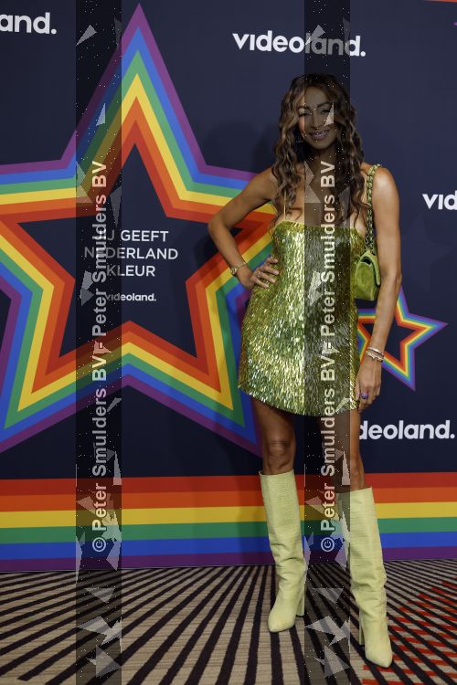 Amsterdam 1 augustus 2026
Lunch bij Videoland voorafgaand aan de Gay Pride