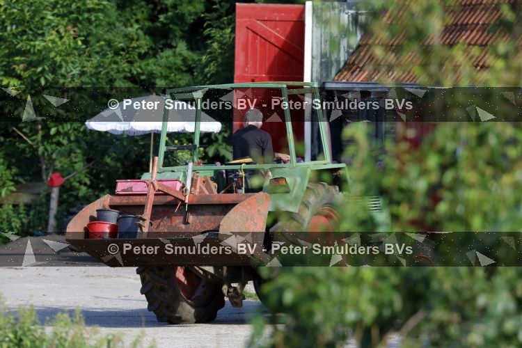 Flanssum 1 augustus 2026
De meilandjes hebben opnames op een boerderij voor een nieuwe serie op Videoland . Maxime Meiland Montana Meiland Erica Meiland en Martien Meiland werken op de boerderij .