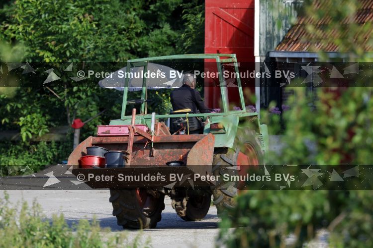 Flanssum 1 augustus 2026
De meilandjes hebben opnames op een boerderij voor een nieuwe serie op Videoland . Maxime Meiland Montana Meiland Erica Meiland en Martien Meiland werken op de boerderij .