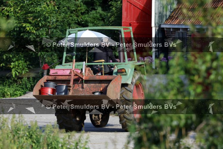Flanssum 1 augustus 2026
De meilandjes hebben opnames op een boerderij voor een nieuwe serie op Videoland . Maxime Meiland Montana Meiland Erica Meiland en Martien Meiland werken op de boerderij .
