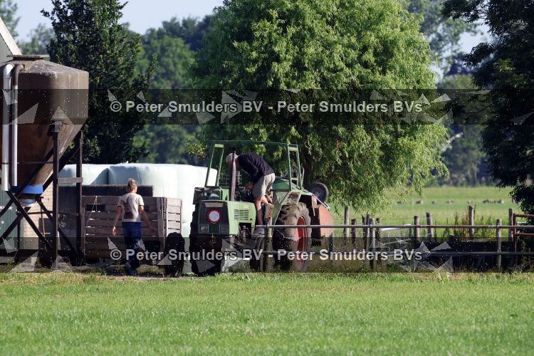 Flanssum 1 augustus 2026
De meilandjes hebben opnames op een boerderij voor een nieuwe serie op Videoland . Maxime Meiland Montana Meiland Erica Meiland en Martien Meiland werken op de boerderij .