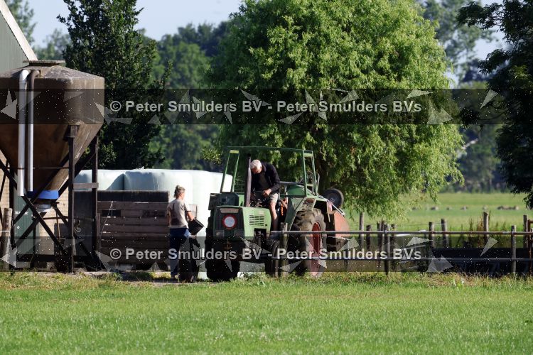 Flanssum 1 augustus 2026
De meilandjes hebben opnames op een boerderij voor een nieuwe serie op Videoland . Maxime Meiland Montana Meiland Erica Meiland en Martien Meiland werken op de boerderij .