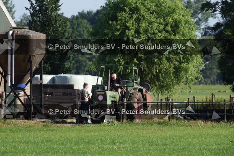 Flanssum 1 augustus 2026
De meilandjes hebben opnames op een boerderij voor een nieuwe serie op Videoland . Maxime Meiland Montana Meiland Erica Meiland en Martien Meiland werken op de boerderij .