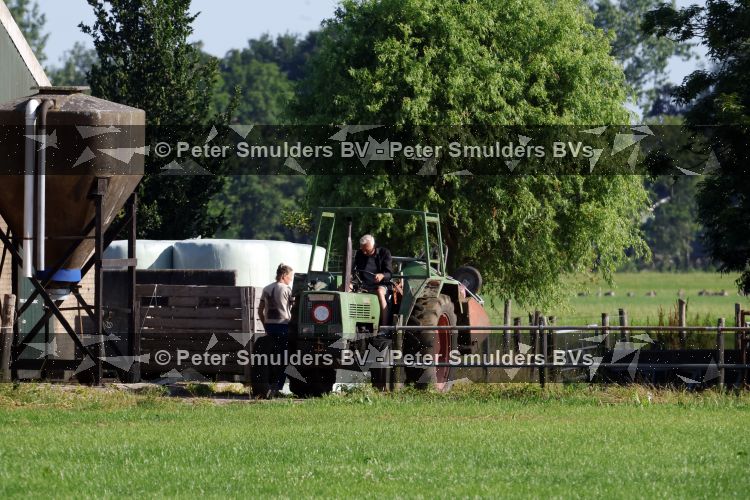 Flanssum 1 augustus 2026
De meilandjes hebben opnames op een boerderij voor een nieuwe serie op Videoland . Maxime Meiland Montana Meiland Erica Meiland en Martien Meiland werken op de boerderij .