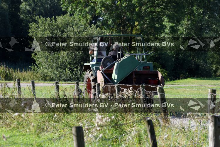 Flanssum 1 augustus 2026
De meilandjes hebben opnames op een boerderij voor een nieuwe serie op Videoland . Maxime Meiland Montana Meiland Erica Meiland en Martien Meiland werken op de boerderij .