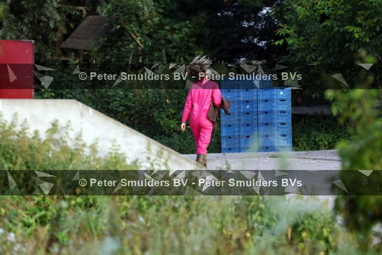 Flanssum 1 augustus 2026
De meilandjes hebben opnames op een boerderij voor een nieuwe serie op Videoland . Maxime Meiland Montana Meiland Erica Meiland en Martien Meiland werken op de boerderij .