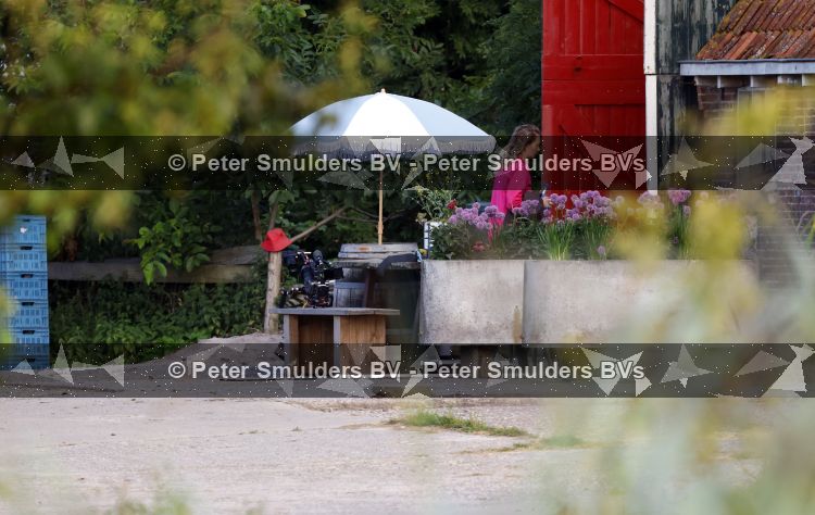Flanssum 1 augustus 2026
De meilandjes hebben opnames op een boerderij voor een nieuwe serie op Videoland . Maxime Meiland Montana Meiland Erica Meiland en Martien Meiland werken op de boerderij .