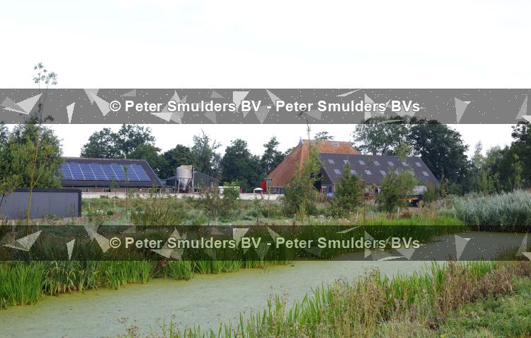 Flanssum 1 augustus 2026
De meilandjes hebben opnames op een boerderij voor een nieuwe serie op Videoland . Maxime Meiland Montana Meiland Erica Meiland en Martien Meiland werken op de boerderij .