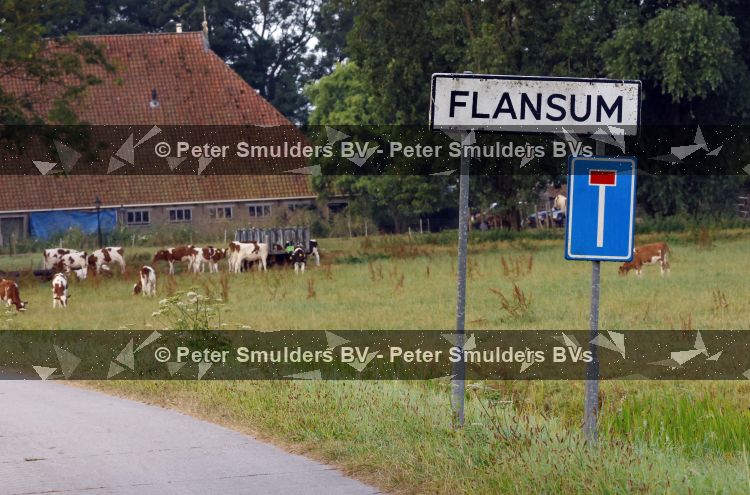 Flanssum 1 augustus 2026
De meilandjes hebben opnames op een boerderij voor een nieuwe serie op Videoland . Maxime Meiland Montana Meiland Erica Meiland en Martien Meiland werken op de boerderij .