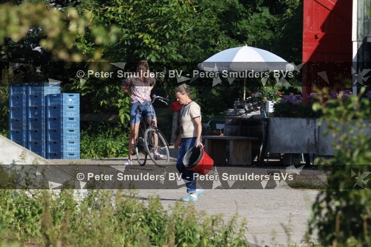 Flanssum 1 augustus 2026
De meilandjes hebben opnames op een boerderij voor een nieuwe serie op Videoland . Maxime Meiland Montana Meiland Erica Meiland en Martien Meiland werken op de boerderij .