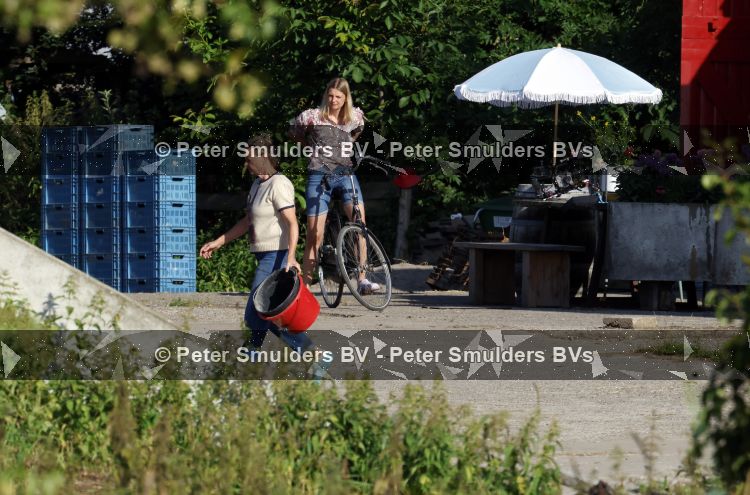 Flanssum 1 augustus 2026
De meilandjes hebben opnames op een boerderij voor een nieuwe serie op Videoland . Maxime Meiland Montana Meiland Erica Meiland en Martien Meiland werken op de boerderij .