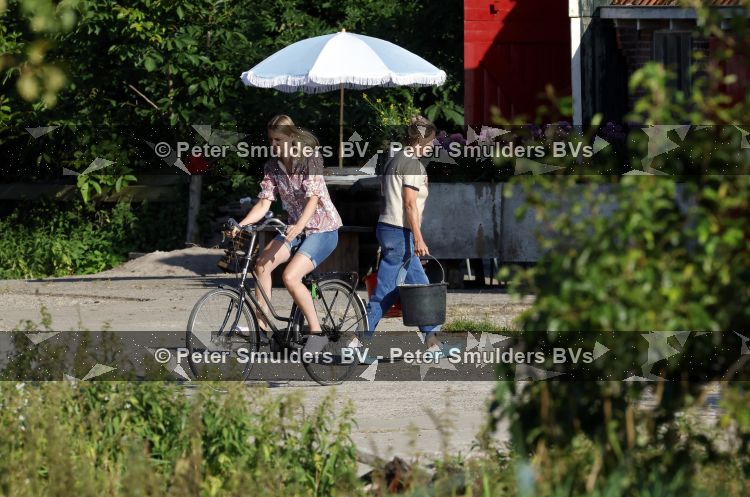 Flanssum 1 augustus 2026
De meilandjes hebben opnames op een boerderij voor een nieuwe serie op Videoland . Maxime Meiland Montana Meiland Erica Meiland en Martien Meiland werken op de boerderij .