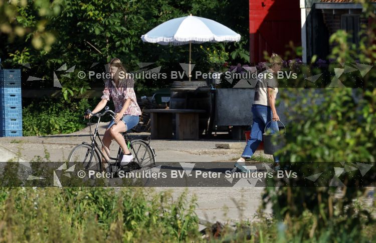 Flanssum 1 augustus 2026
De meilandjes hebben opnames op een boerderij voor een nieuwe serie op Videoland . Maxime Meiland Montana Meiland Erica Meiland en Martien Meiland werken op de boerderij .