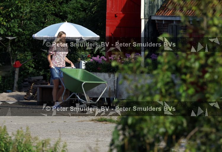 Flanssum 1 augustus 2026
De meilandjes hebben opnames op een boerderij voor een nieuwe serie op Videoland . Maxime Meiland Montana Meiland Erica Meiland en Martien Meiland werken op de boerderij .