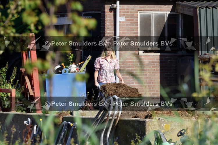 Flanssum 1 augustus 2026
De meilandjes hebben opnames op een boerderij voor een nieuwe serie op Videoland . Maxime Meiland Montana Meiland Erica Meiland en Martien Meiland werken op de boerderij .