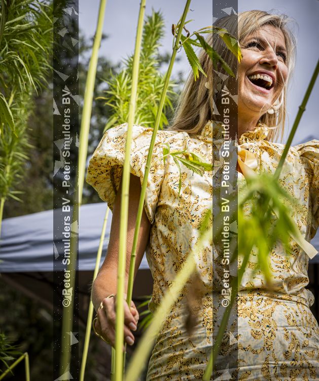 Hengelo 3 september 2026
Koningin Maxima helpt mee met het telen van vezelhennep tijdens een bezoek aan de Achterhoek in het kader van Biobased bouwen. 